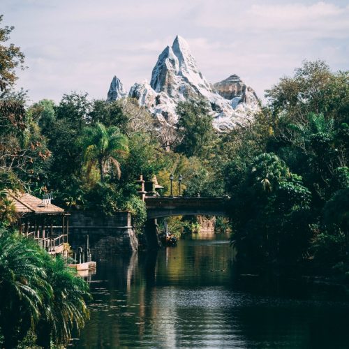 Disneyworld Animal Kingdom Near Magic Moments Vacation Villa